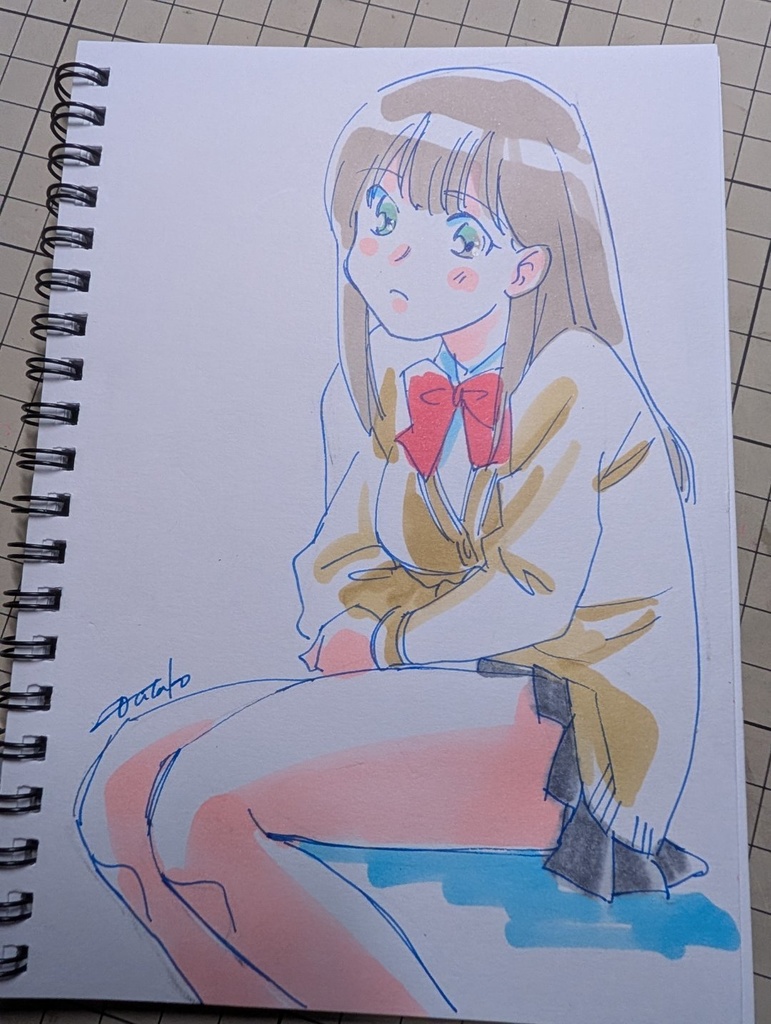 30枚だからいい加減すぎるよスケブ