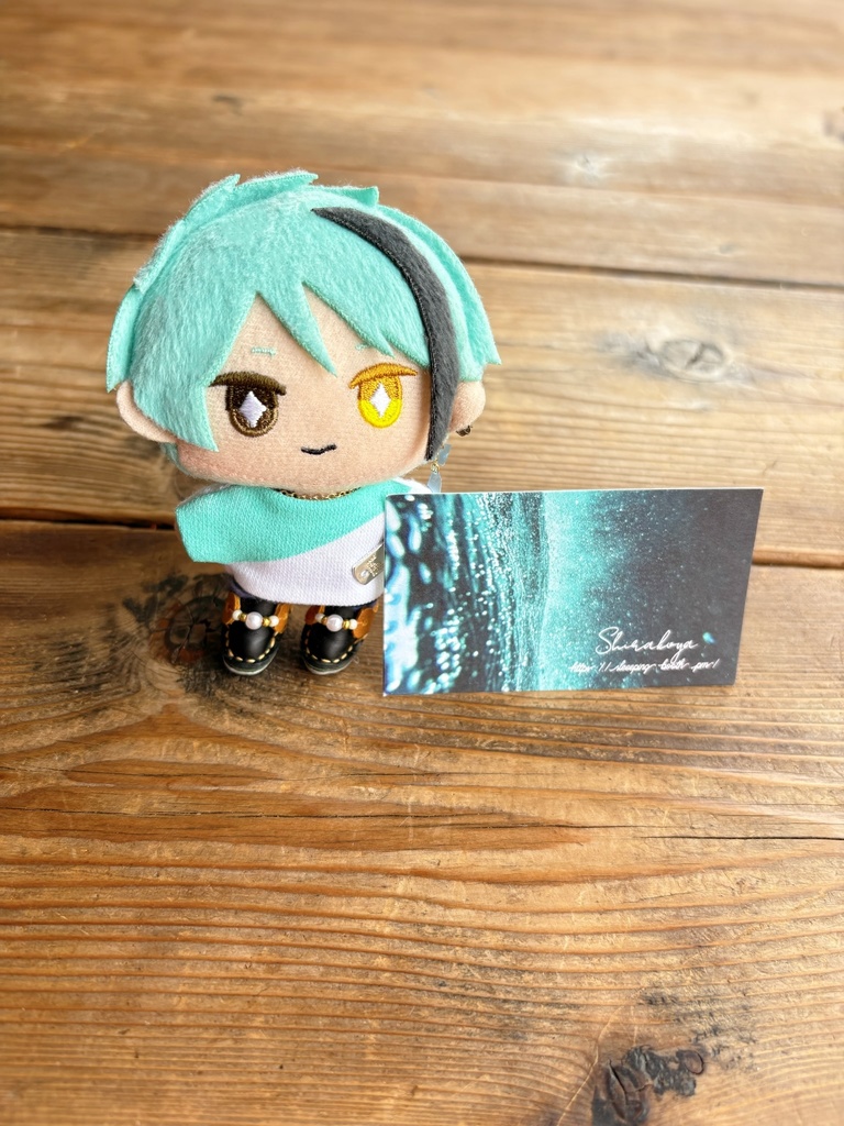 ＼21:20-0:00 ゲリラ受注／新色斜めTシャツ🐠