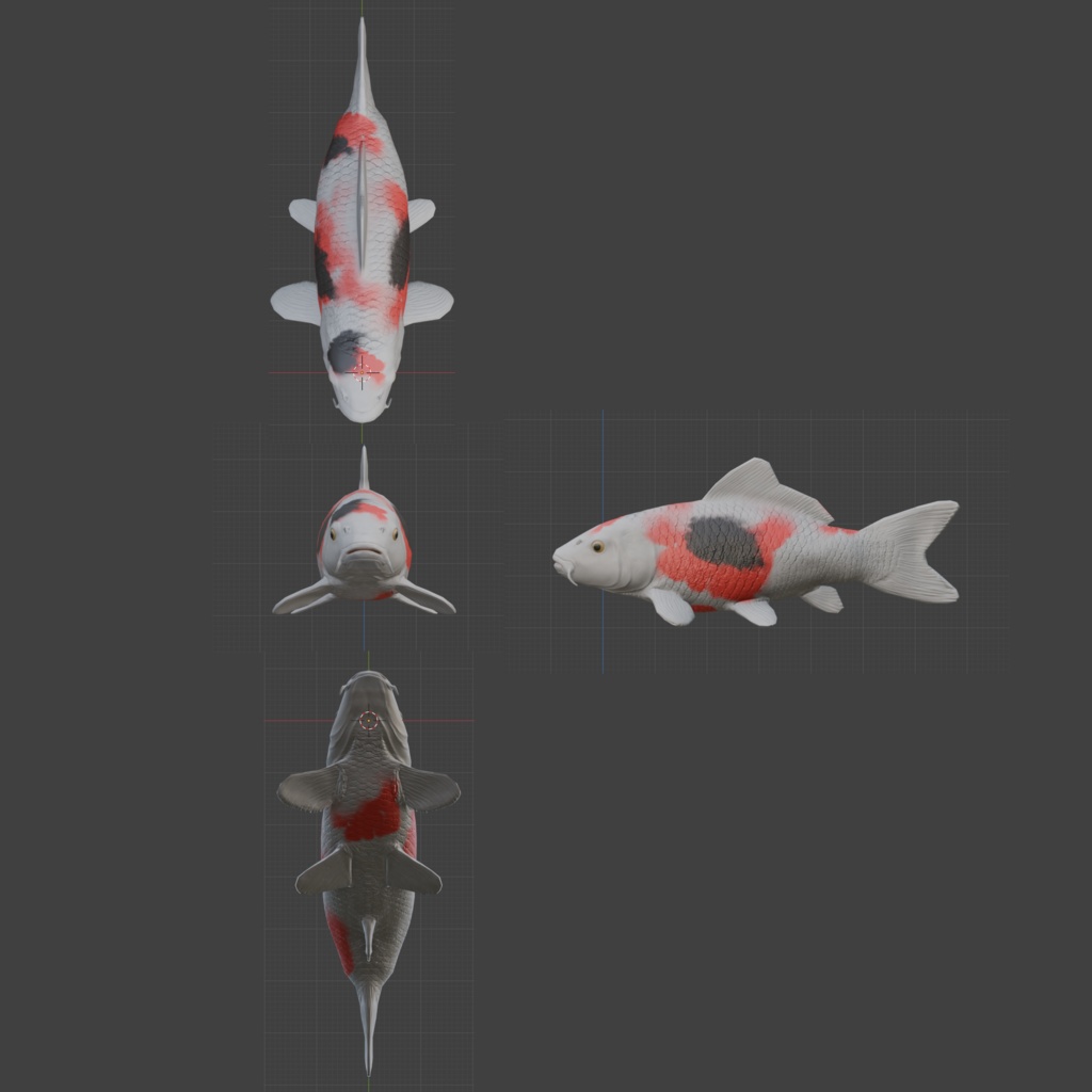 鯉3Dモデル