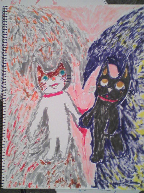 ポストカード　ランダム５枚