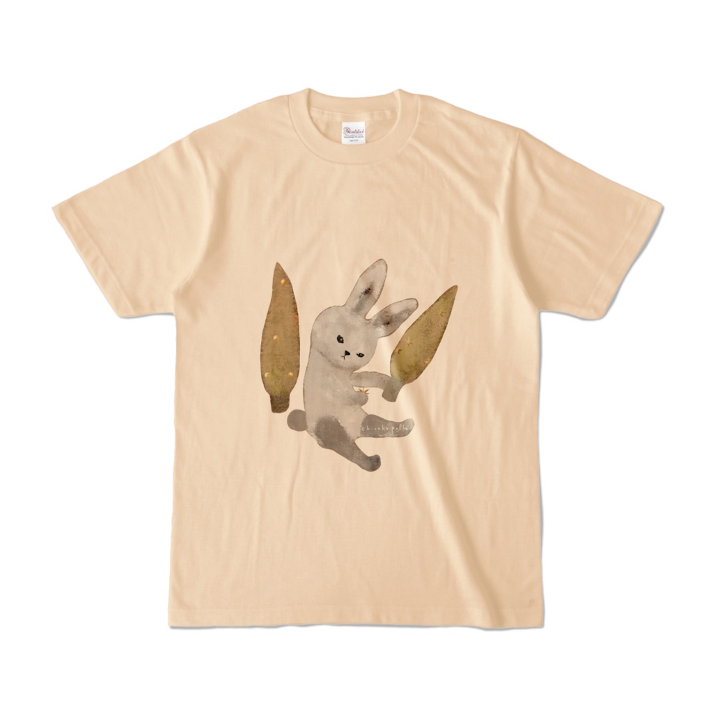 クリスマスカラーTシャツ