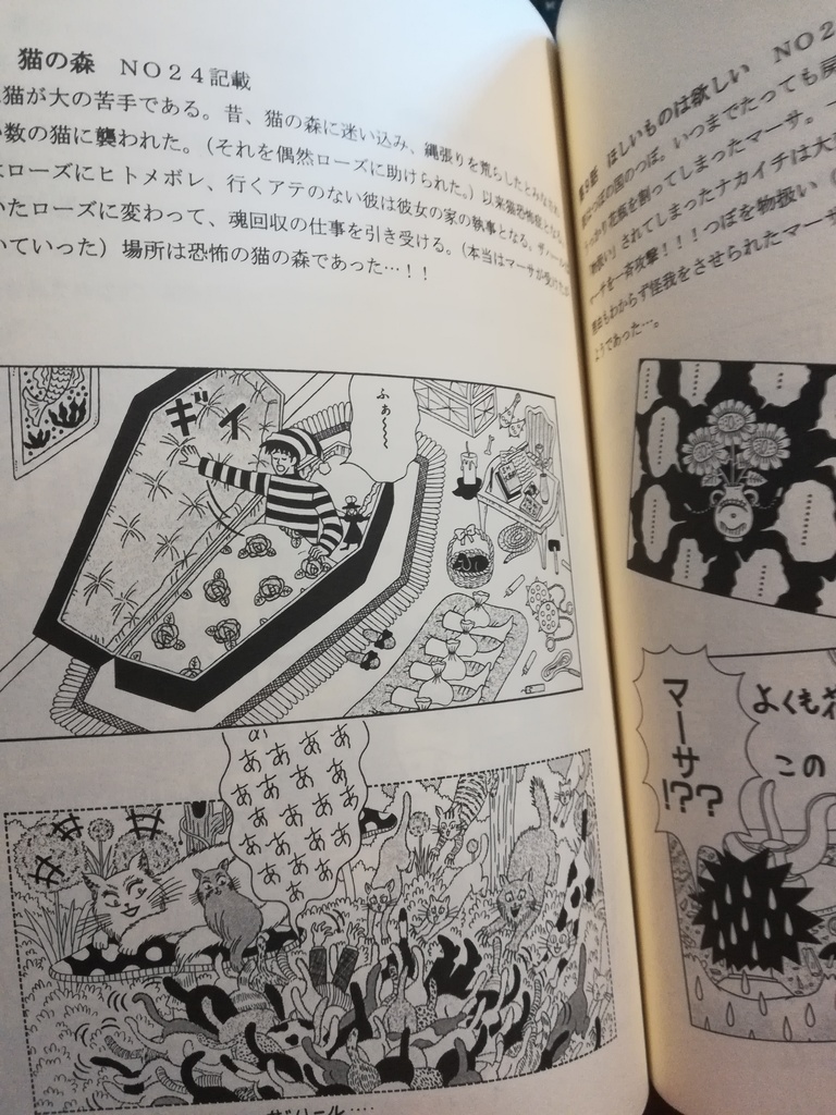 「幻想空間」ひすいろうかん(紙本)