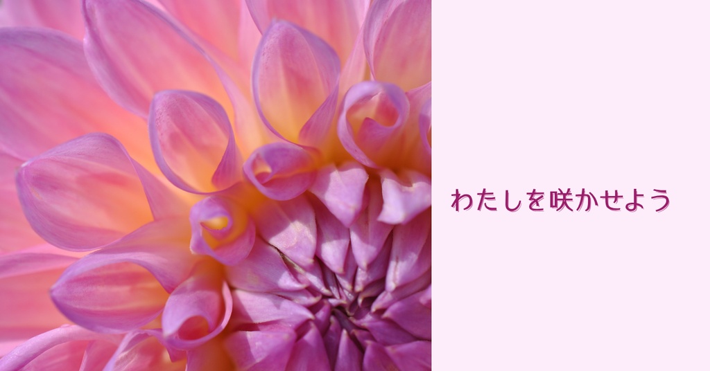 【note対応】ぴったり収まるヘッダー・アイコン・見出し画像 3点セット｜花の芯シリーズ③｜世界観テンプレ｜カード・背景素材