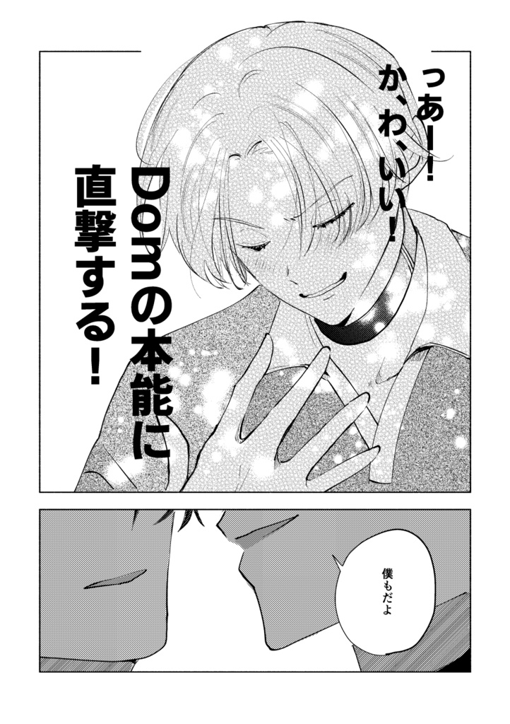 SubとDomのセーフワード