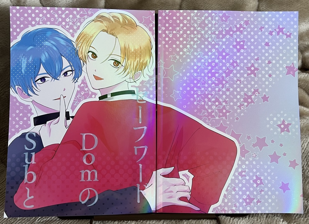 SubとDomのセーフワード