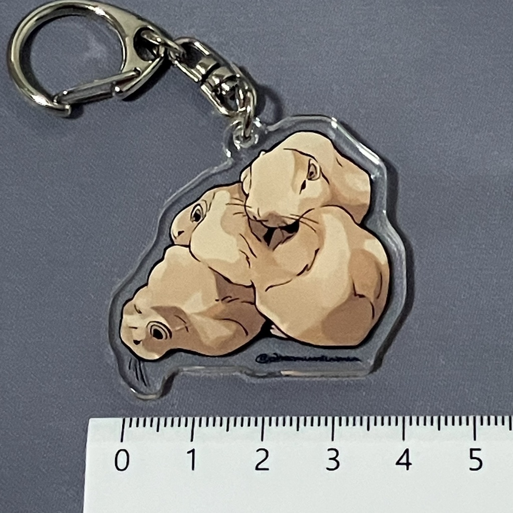 アクリルキーホルダー：グンディ