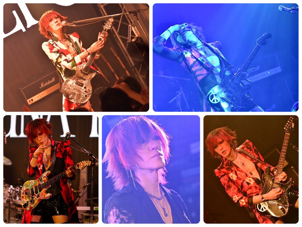 HRTポストカードセット【ライブB】