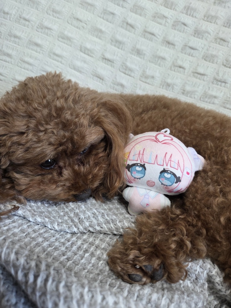 鳴る!みるりぃぬいぐるみマスコット