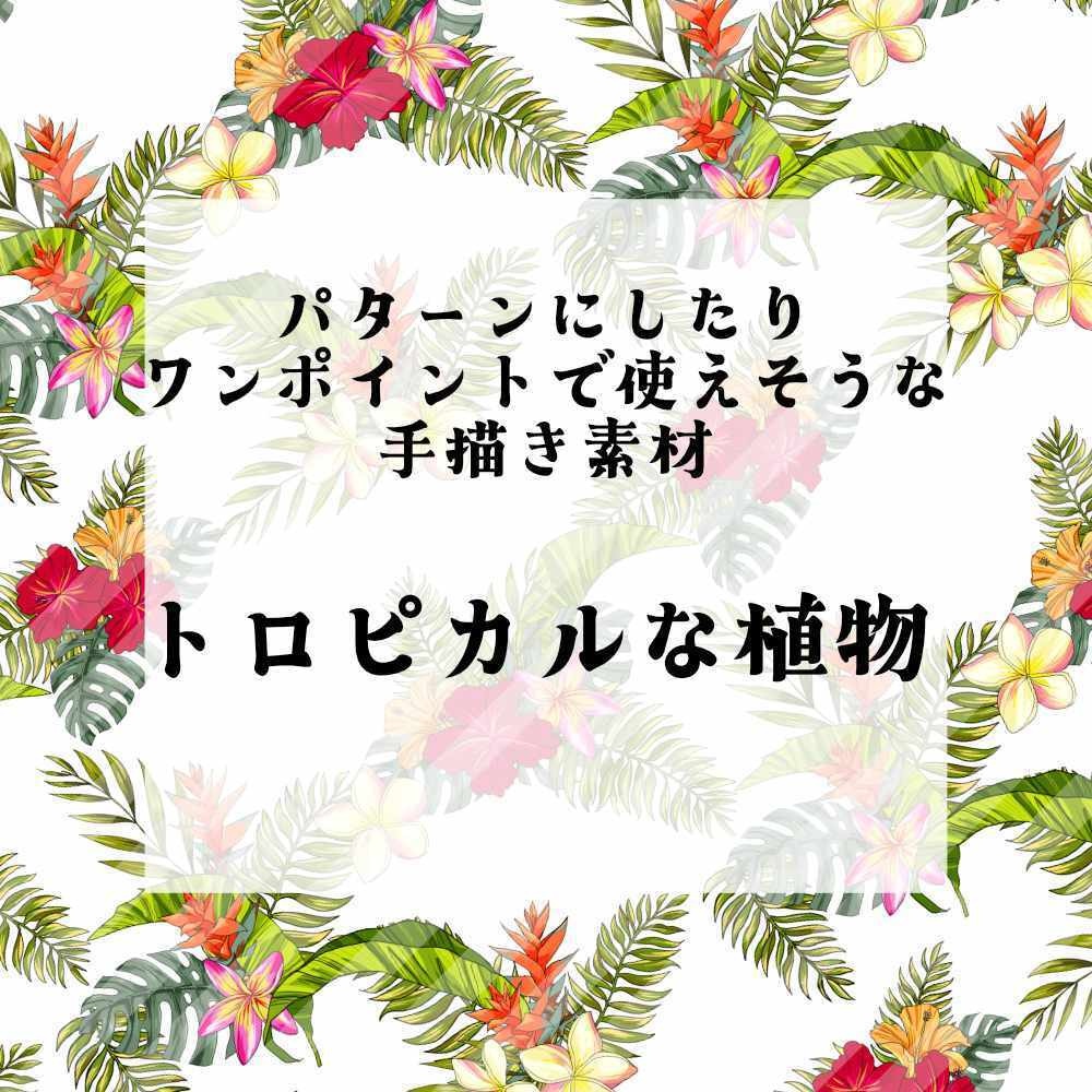 手描き素材集2トロピカルな植物