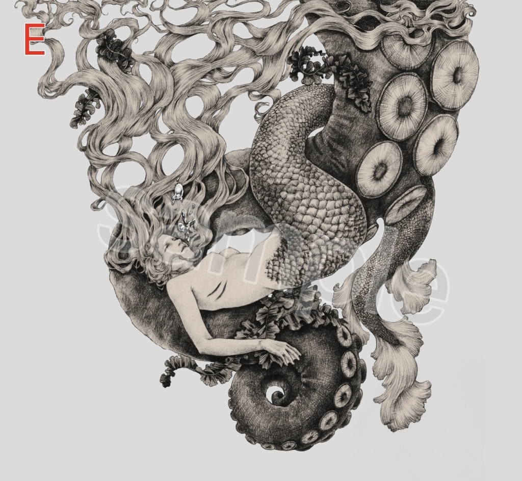 【完全受注生産】ポストカード(バラ-全5種)+描き下ろしミニ原画(ランダム)セット