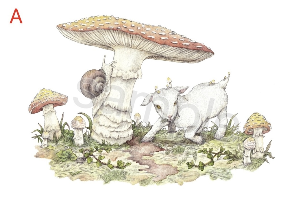 【完全受注生産】ポストカード(バラ-全5種)+描き下ろしミニ原画(ランダム)セット