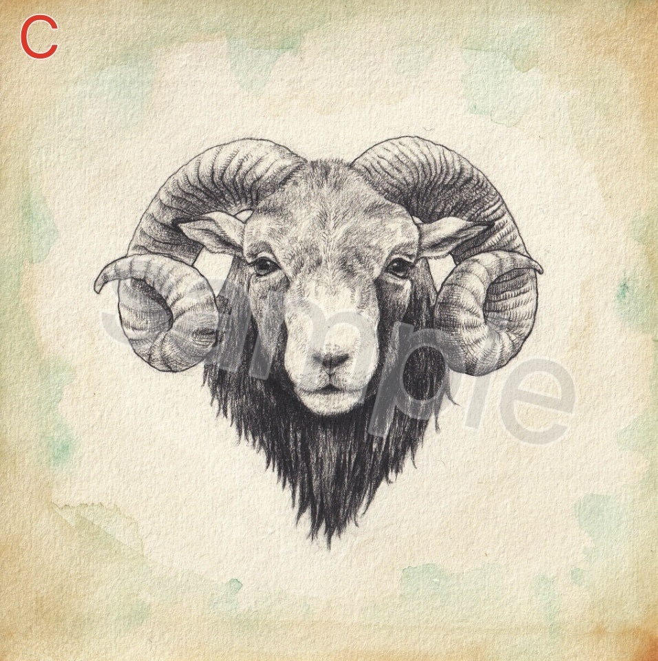 【完全受注生産】ポストカード(バラ-全5種)+描き下ろしミニ原画(ランダム)セット