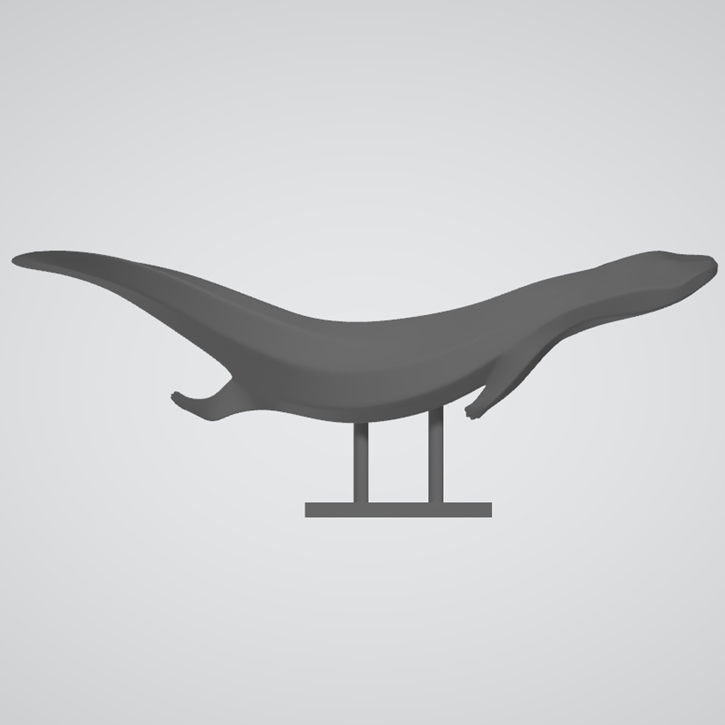 『Template:GiantSalamander』彫刻STLデータ【3Dプリント用】