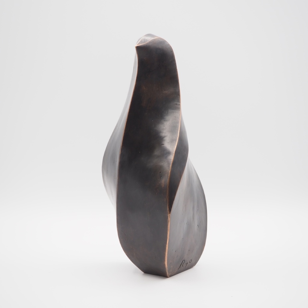 『Template_Emperor Penguin(Baby)』彫刻STLデータ【3Dプリント用】