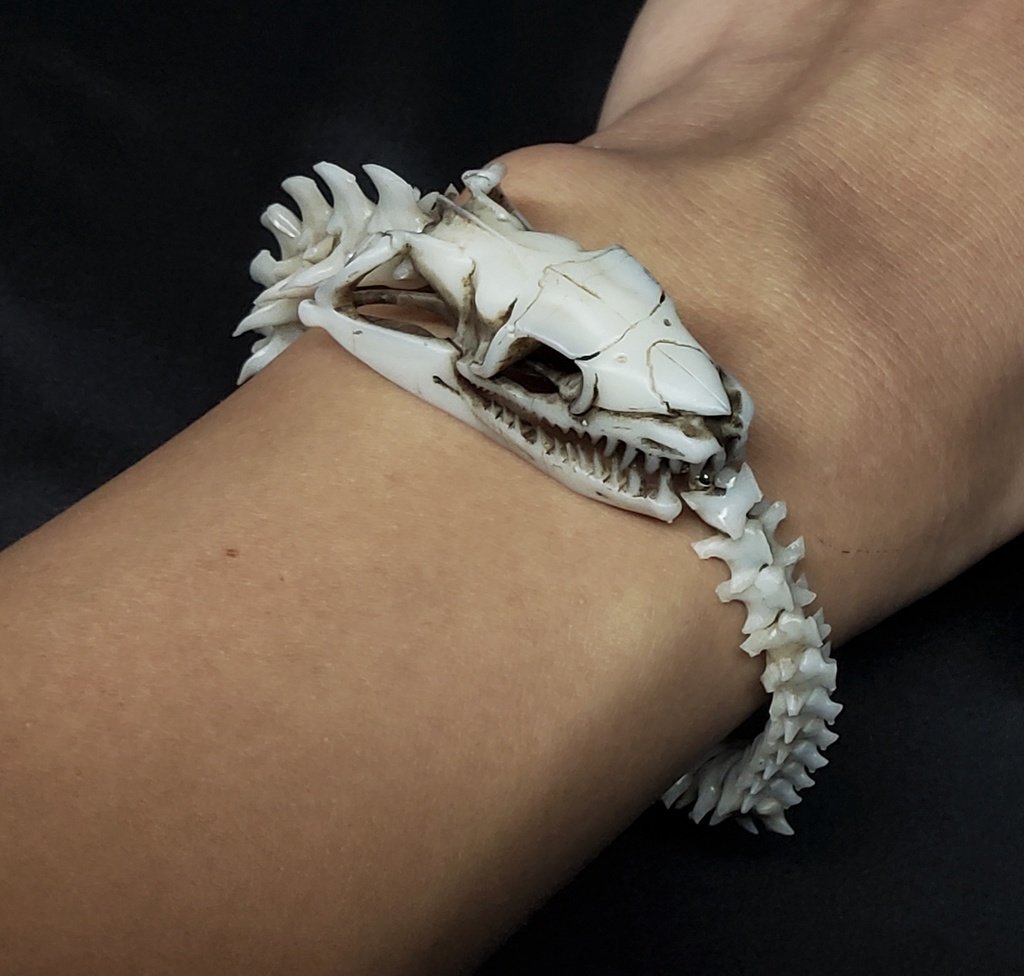 幻獣 ウロボロス 骨格標本風 ブレスレット