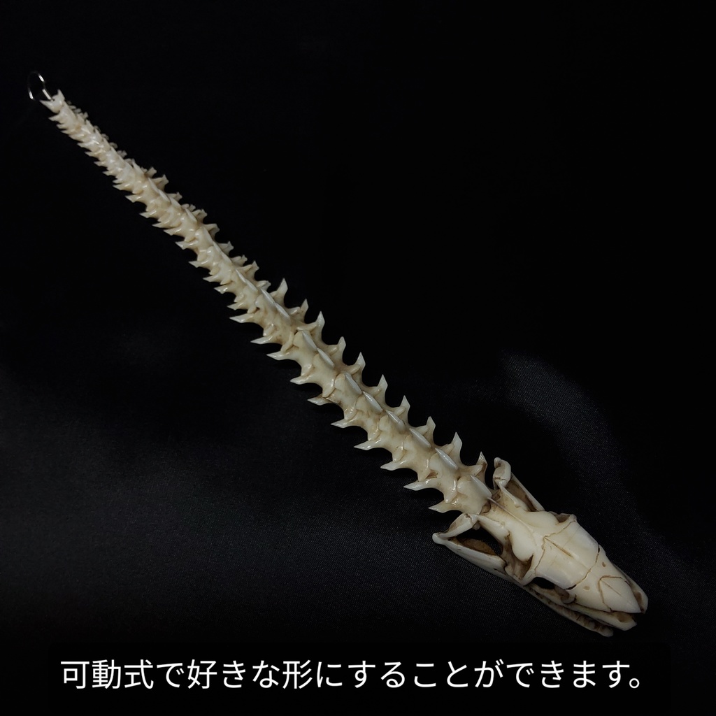 幻獣 ウロボロス 骨格標本風 ブレスレット