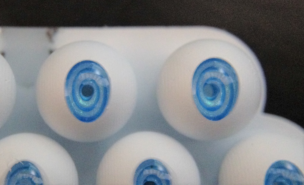 義眼製作部材『baeomyces』