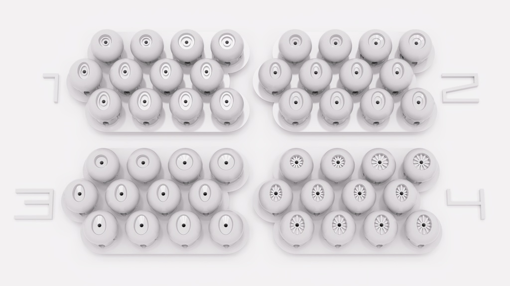 義眼製作部材『baeomyces』