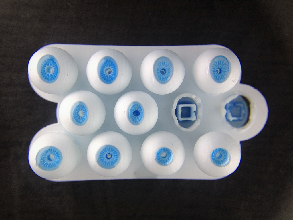 義眼製作部材『baeomyces』