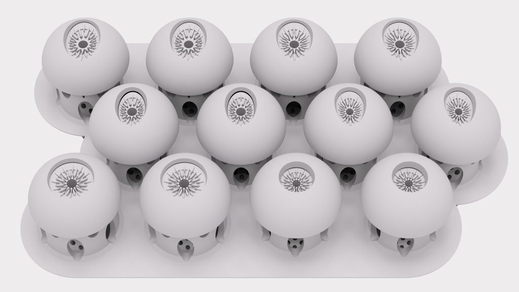 義眼製作部材『baeomyces』