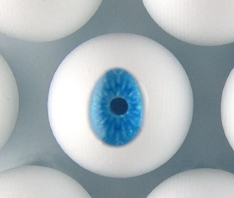 義眼製作部材『baeomyces』