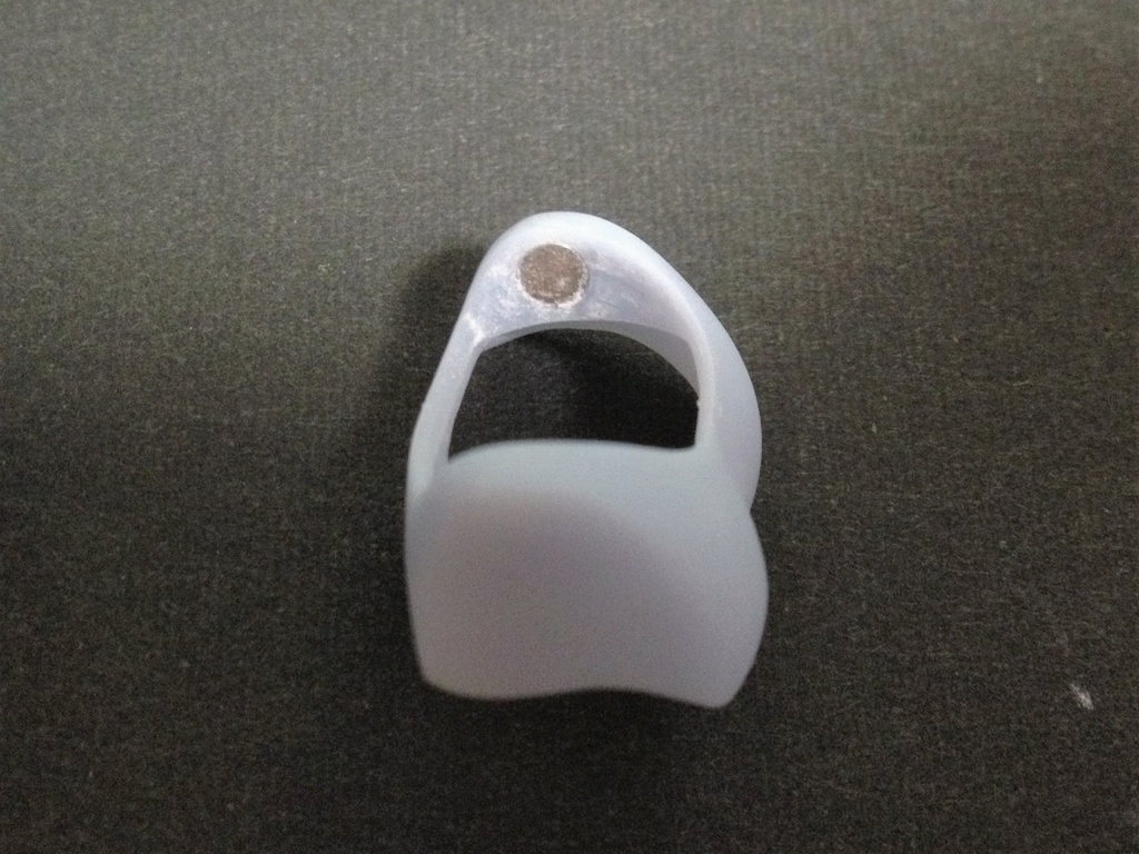 腹部置換部材『Trachycarpus』