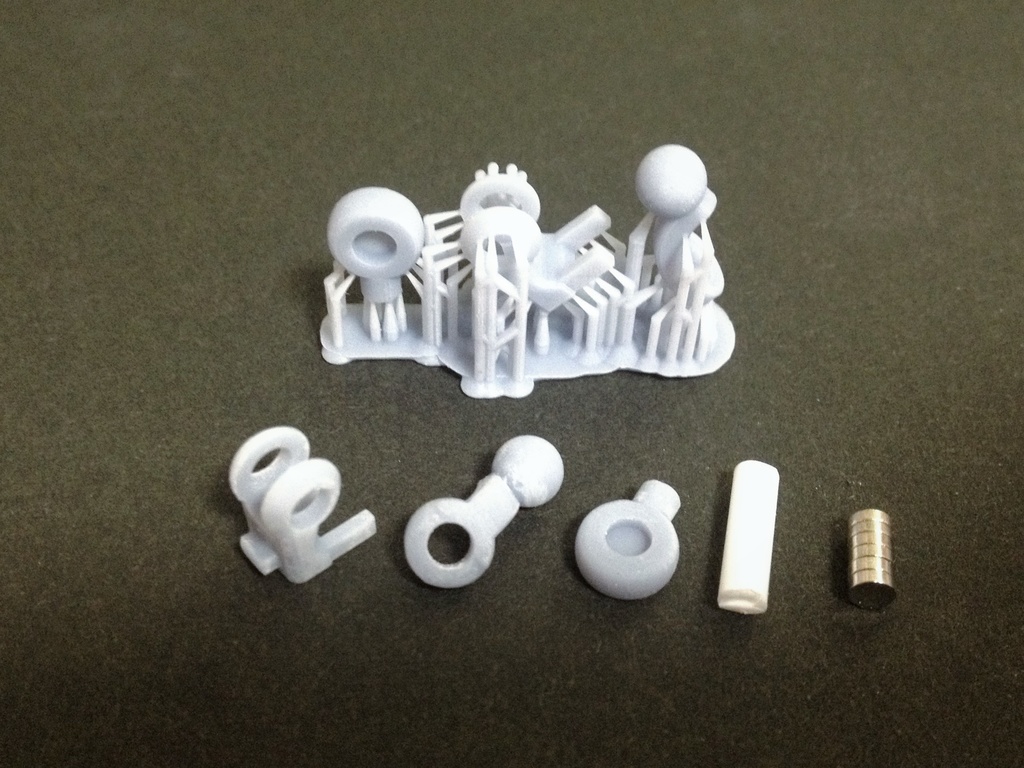 腹部置換部材『Trachycarpus』