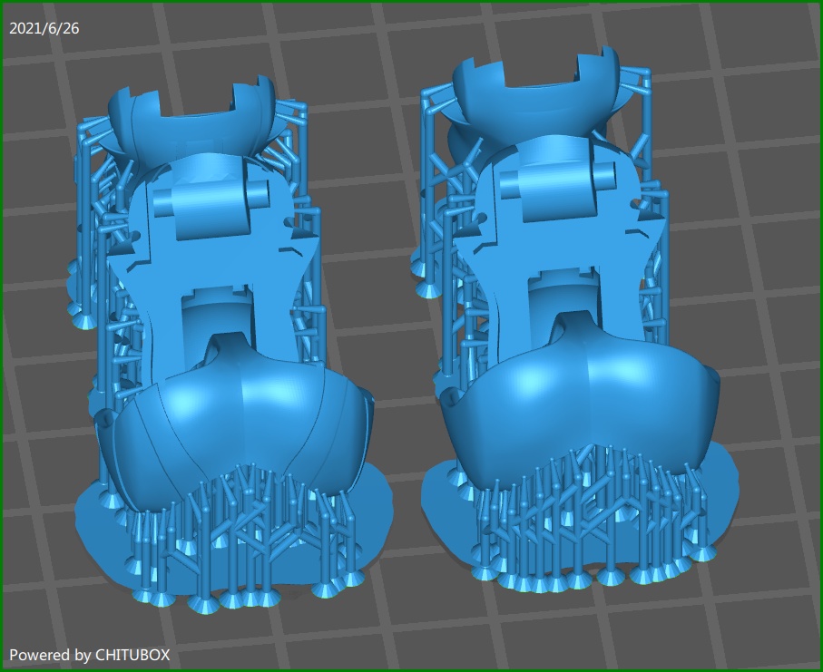 腹部置換部材『Trachycarpus』