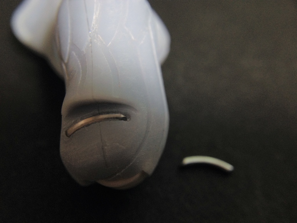 腹部置換部材『Trachycarpus』