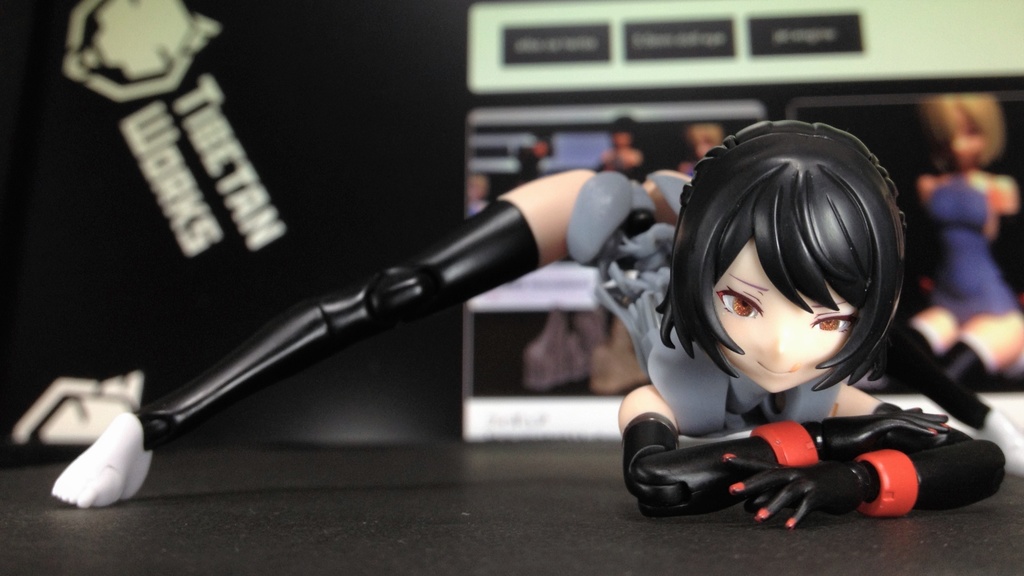 拡張体幹部材『lallemantia v1.1』