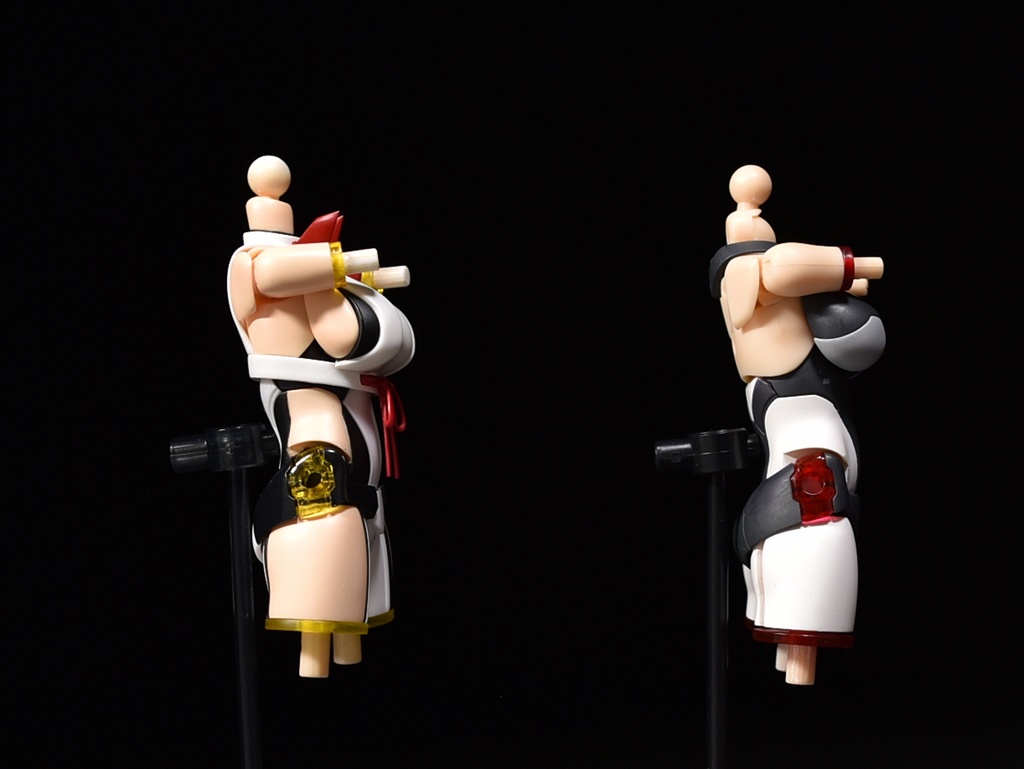 胸郭置換部材『Mimosa』