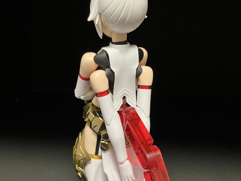 複腕胸郭部材『Microlobius』