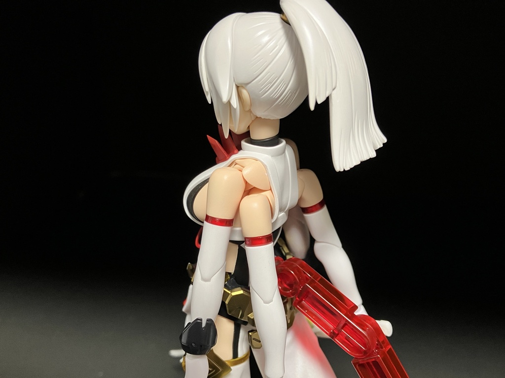 複腕胸郭部材『Microlobius』