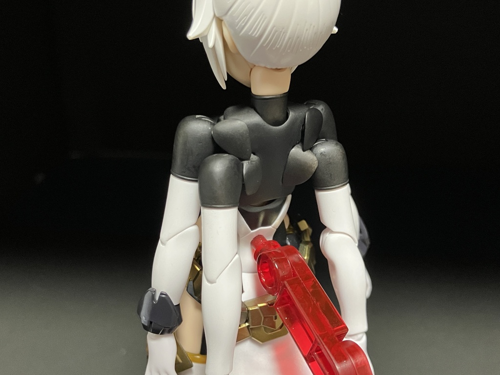 複腕胸郭部材『Microlobius』