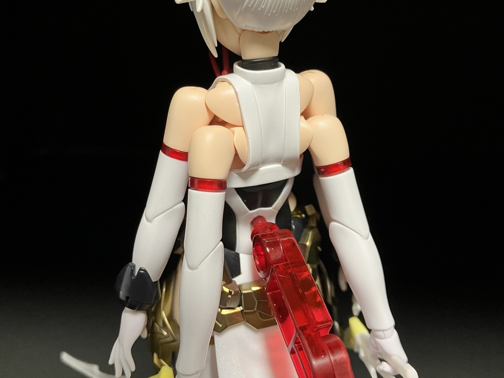 複腕胸郭部材『Microlobius』