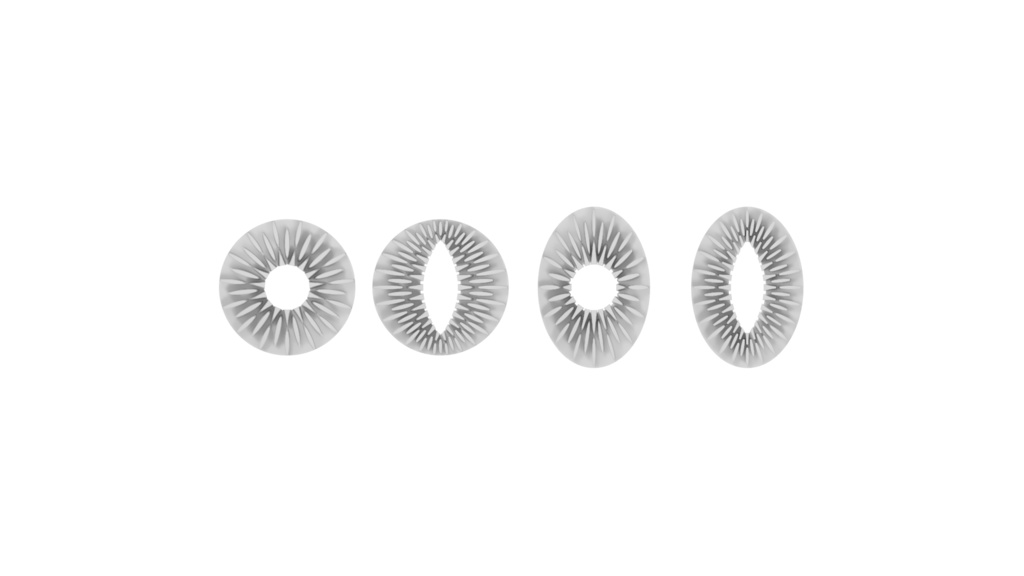 ドールアイキット 瞳孔: 円、スリット 虹彩: 円、楕円