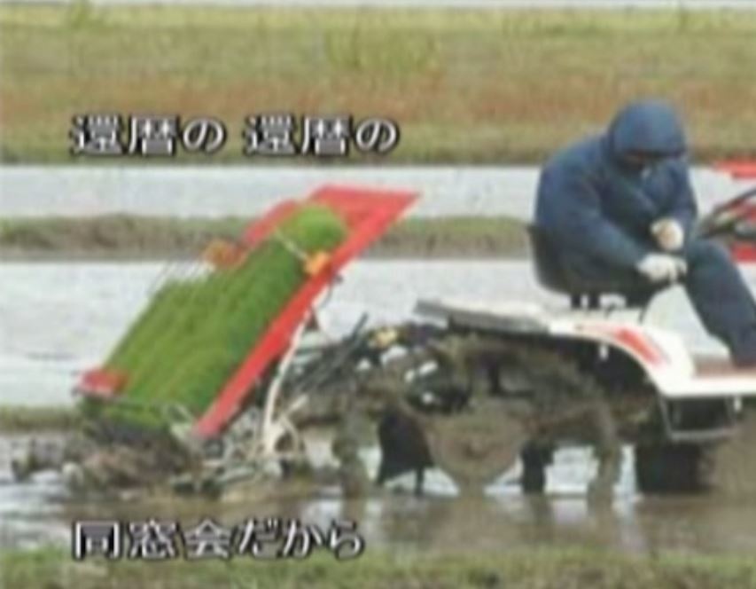 還暦の同窓会(動画) 歌(笹川満夫)