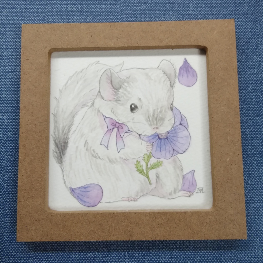 チンチラとアネモネ