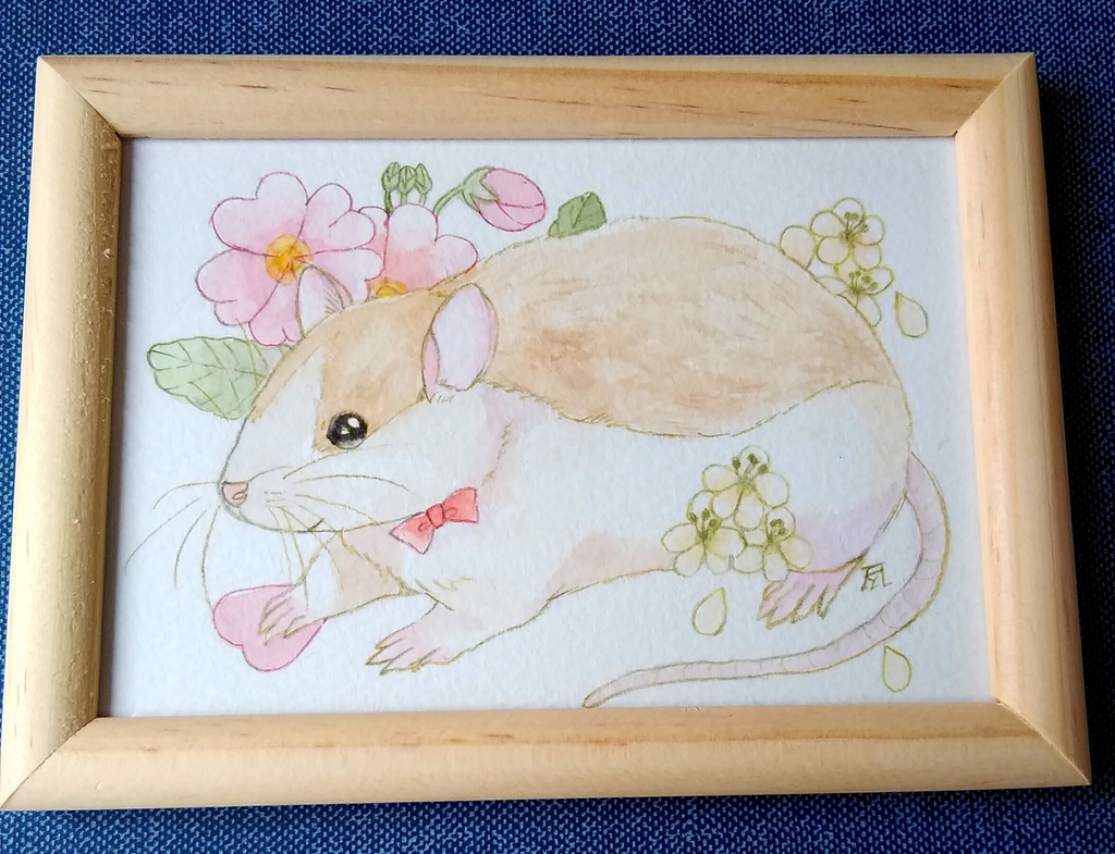 ラットくん❁