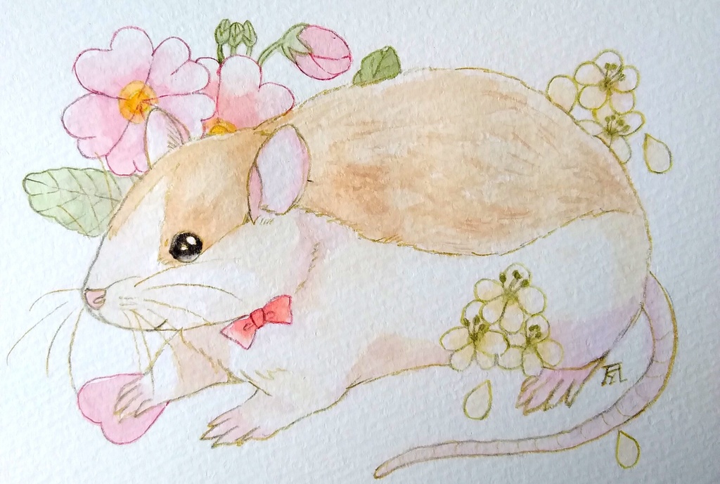 ラットくん❁