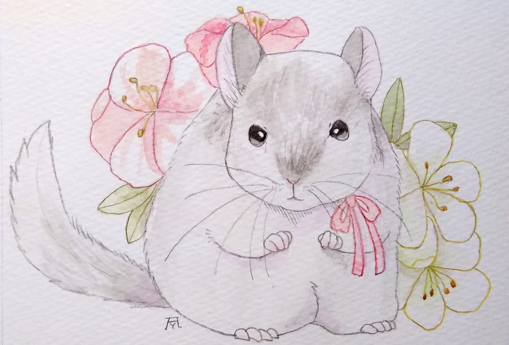 チンチラちゃんとササキツバキ✼