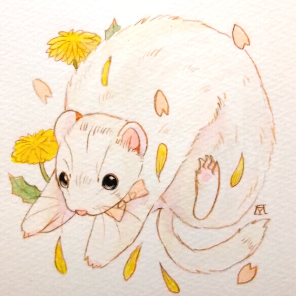 原画 フェレット ホワイトファーブラックアイ