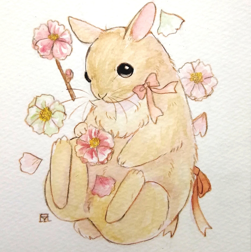 原画 ネザーランドドワーフ