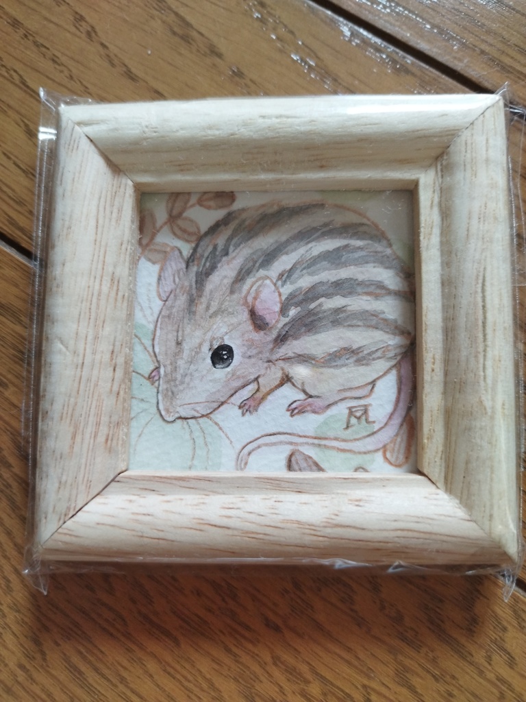 小動物 透明水彩イラスト原画