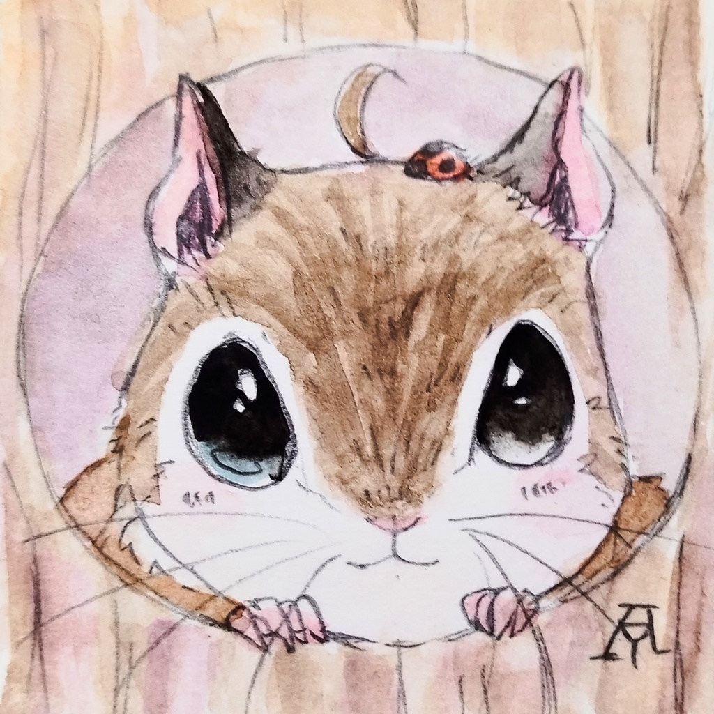 アメリカモモンガ　透明水彩イラスト原画