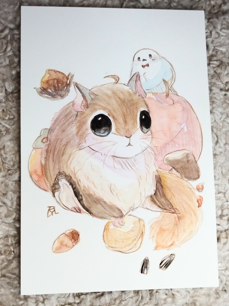 アメリカモモンガ 透明水彩イラスト原画