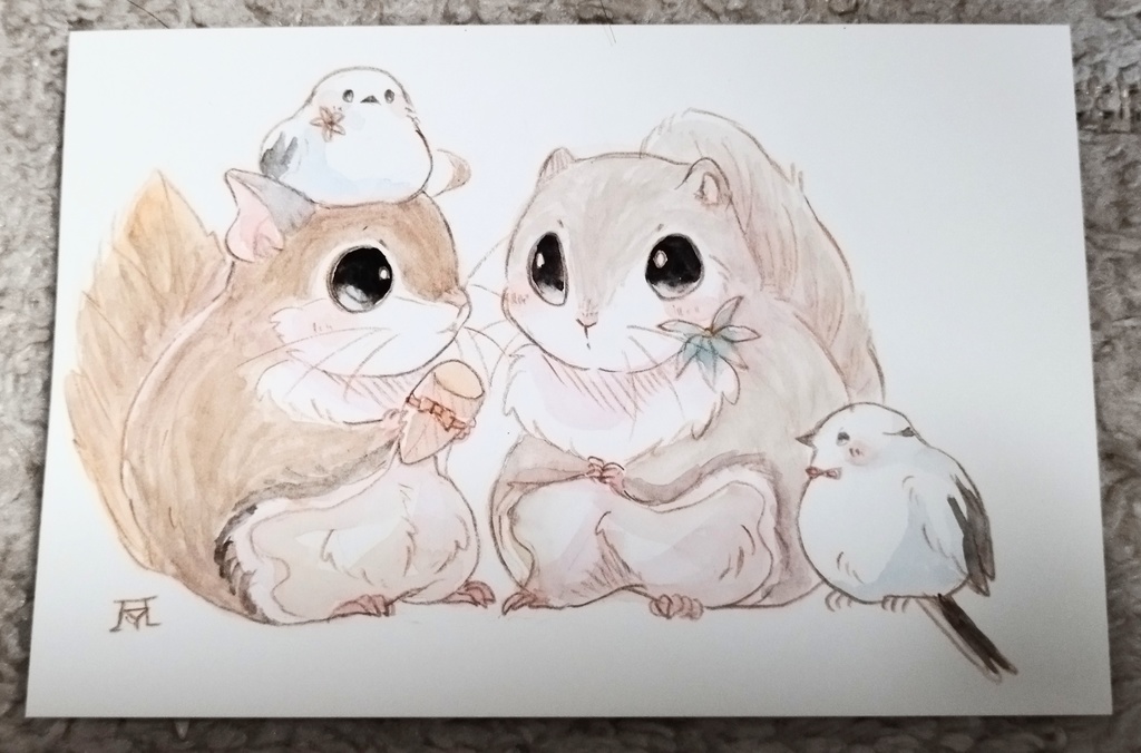 アメリカモモンガ 透明水彩イラスト原画