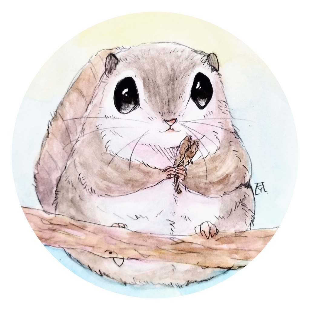 エゾモモンガ/フクロモモンガ 透明水彩イラスト原画