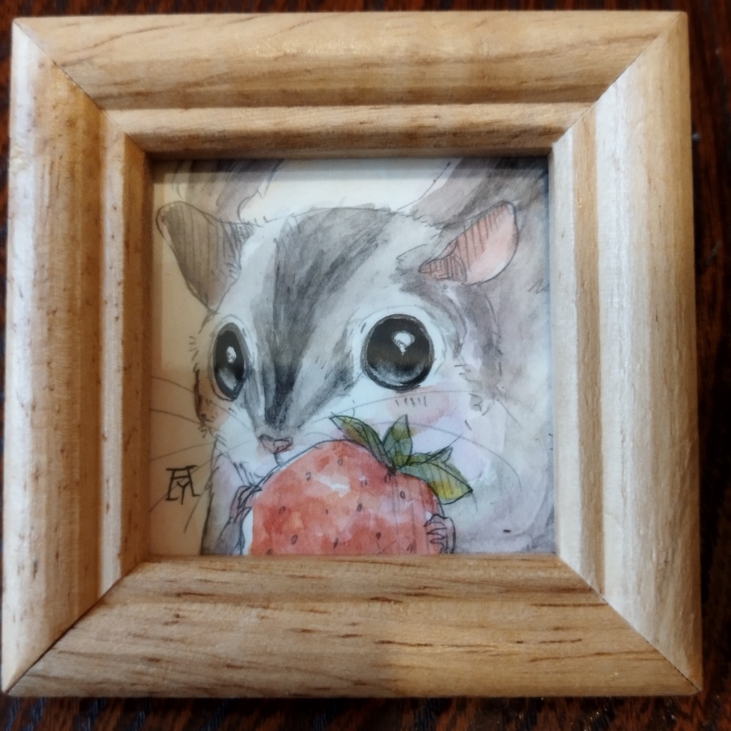 エゾモモンガ/フクロモモンガ 透明水彩イラスト原画