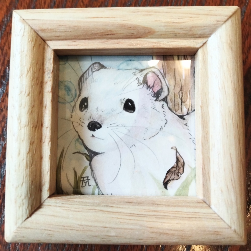 オコジョ 透明水彩イラスト原画